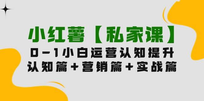 小红薯【私家课】0-1玩赚小红书内容营销，认知篇+营销篇+实战篇（11节课）|琦哥资源