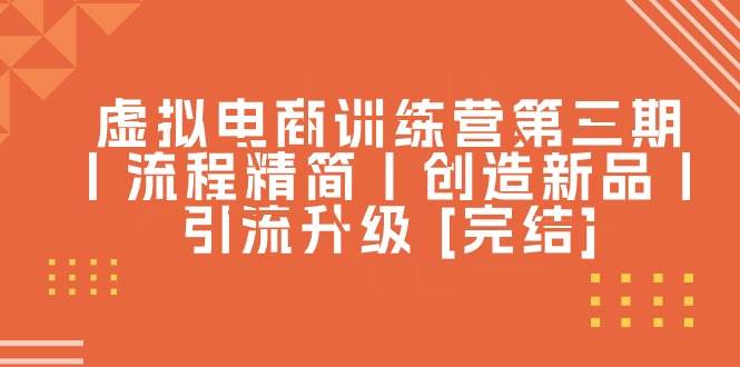 虚拟电商训练营第三期丨流程精简丨创造新品丨引流升级 [完结]|琦哥资源