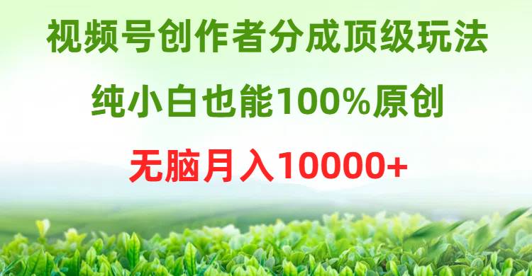 视频号创作者分成顶级玩法，纯小白也能100%原创，无脑月入10000+|琦哥资源