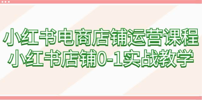 小红书电商店铺运营课程，小红书店铺0-1实战教学（60节课）|琦哥资源