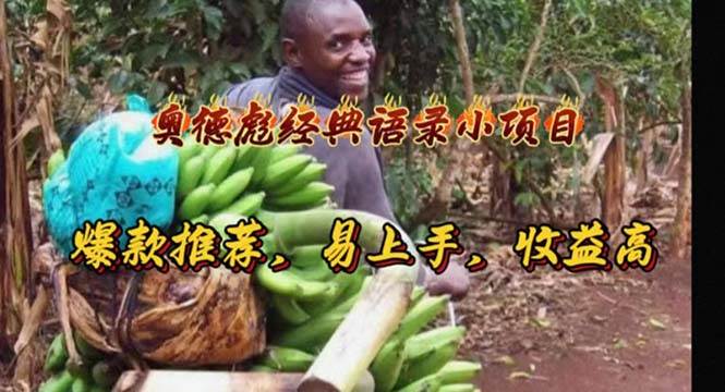 奥德彪经典语录小项目，爆款推荐，易上手，收益高|琦哥资源