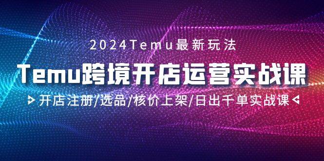 2024Temu跨境开店运营实战课，开店注册/选品/核价上架/日出千单实战课|琦哥资源