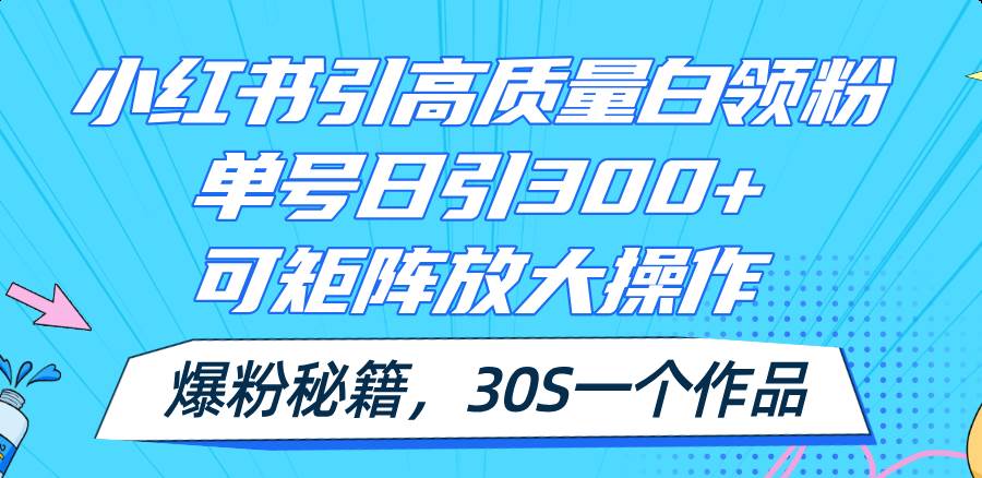 小红书引高质量白领粉，单号日引300+，可放大操作，爆粉秘籍！30s一个作品|琦哥资源