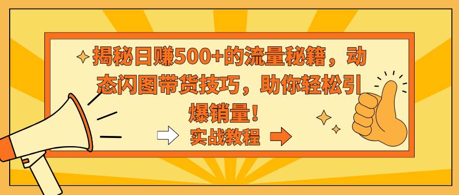 揭秘日赚500+的流量秘籍，动态闪图带货技巧，助你轻松引爆销量！|琦哥资源