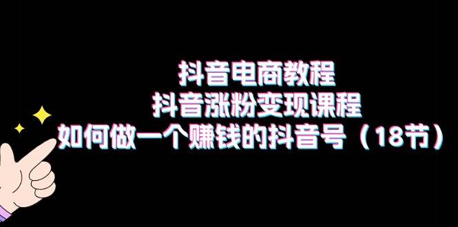 抖音电商教程：抖音涨粉变现课程：如何做一个赚钱的抖音号（18节）|琦哥资源