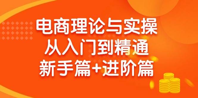 电商理论与实操从入门到精通 新手篇+进阶篇|琦哥资源
