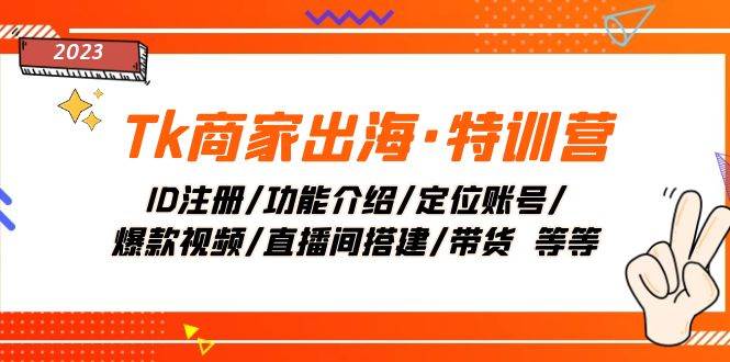 Tk商家出海·特训营：ID注册/功能介绍/定位账号/爆款视频/直播间搭建/带货|琦哥资源