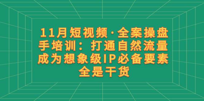 11月短视频·全案操盘手培训：打通自然流量 成为想象级IP必备要素 全是干货|琦哥资源