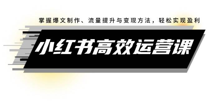 小红书高效运营课：掌握爆文制作、流量提升与变现方法，轻松实现盈利|琦哥资源