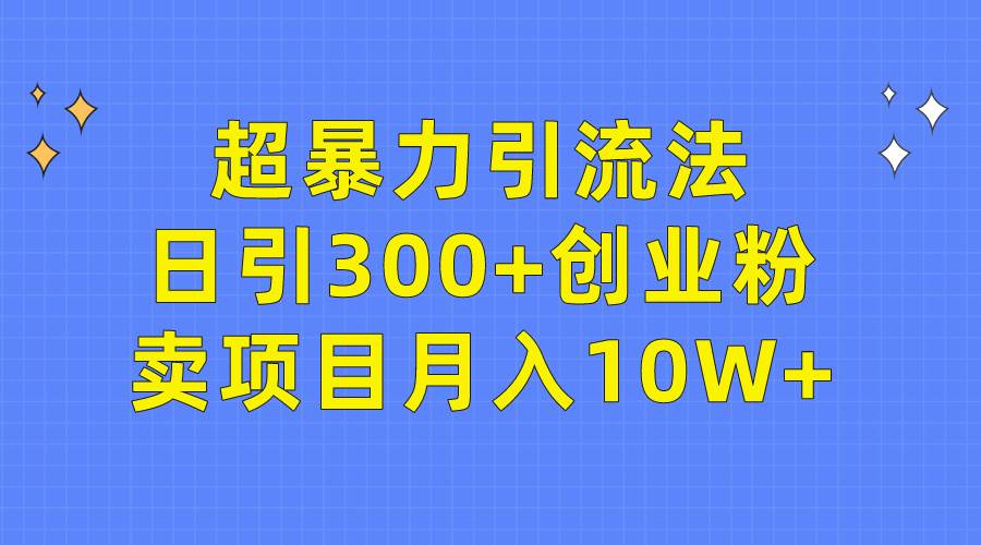 超暴力引流法，日引300+创业粉，卖项目月入10W+|琦哥资源