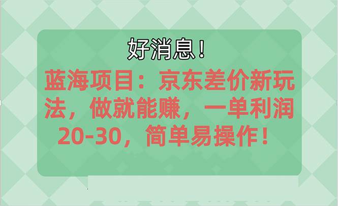 越早知道越能赚到钱的蓝海项目：京东大平台操作，一单利润20-30，简单…|琦哥资源