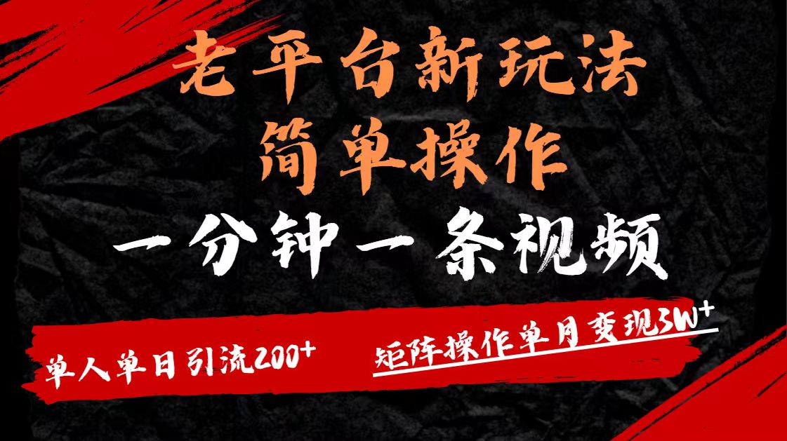 老平台，新玩法，简单操作，一分钟一条视频，单人单人引流200+矩阵操作，单月变现3W|琦哥资源