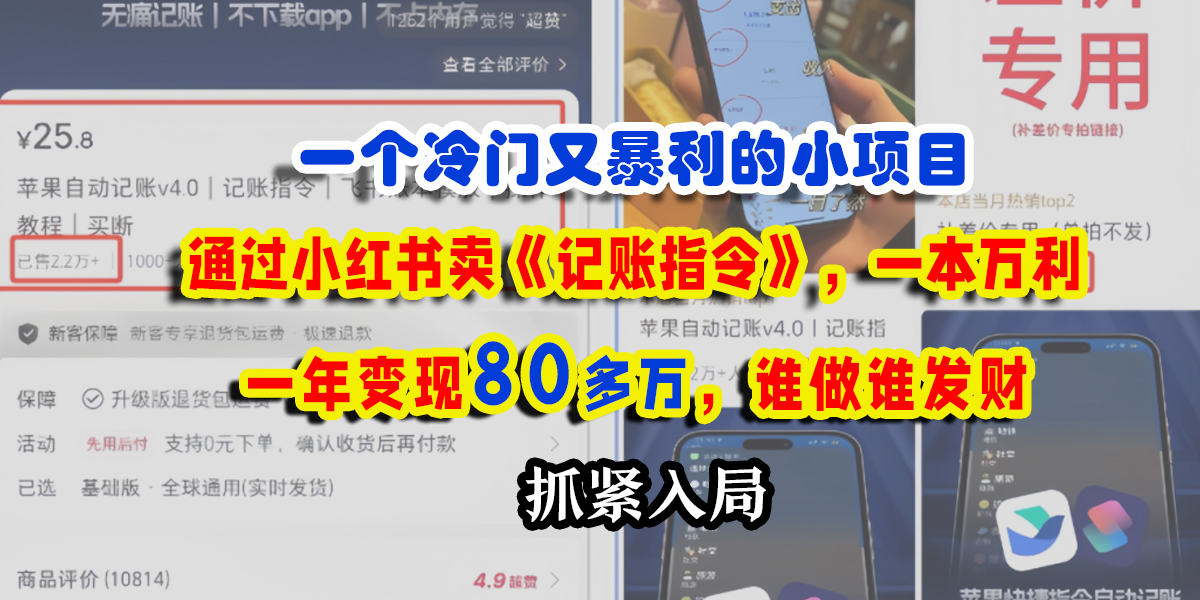 一个冷门又暴利的小项目，通过小红书卖《记账指令》，一本万利，一年变现80多万，谁做谁发财|琦哥资源