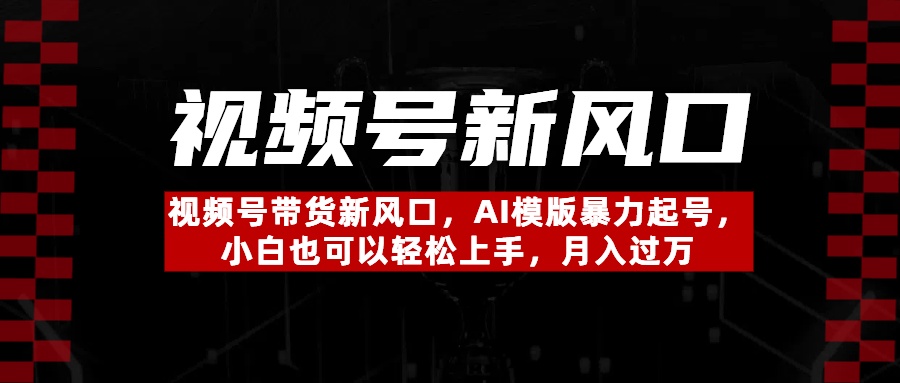 视频号带货新风口，AI模版暴力起号，小白也可以轻松上手，月入过万|琦哥资源