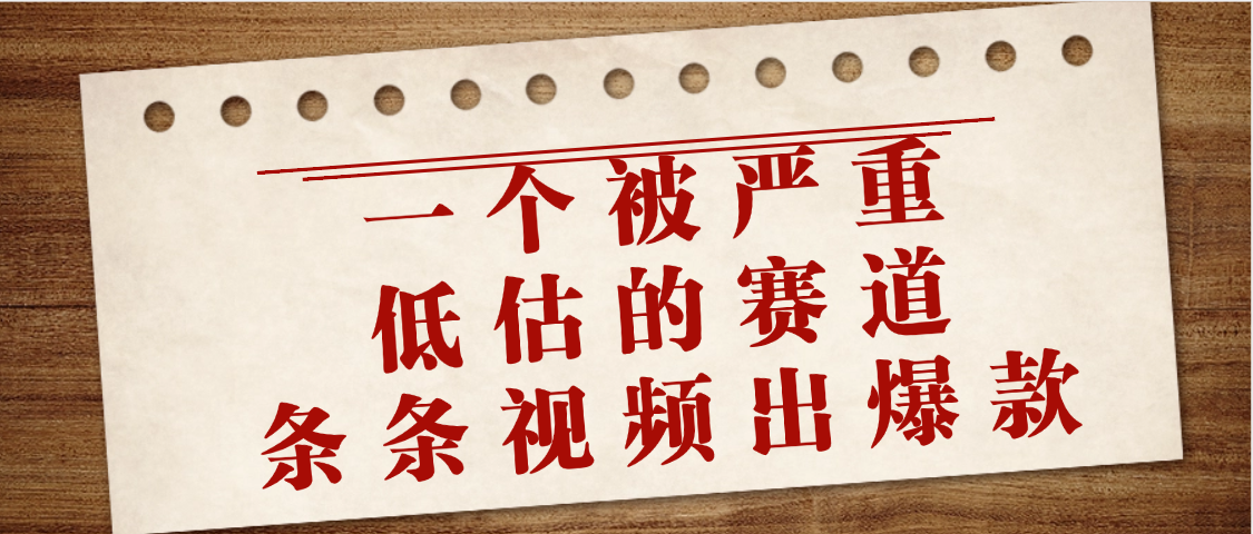 一个被严重低估的赛道，条条视频出爆款，一个月变现3万+|琦哥资源