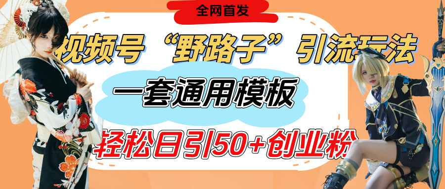 视频号“野路子”玩法，评论区疯狂截流，一套模板单日单号引流50+创业粉|琦哥资源