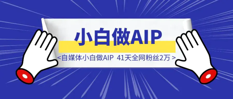 自媒体小白做AIP，41天全网粉丝2万|琦哥资源