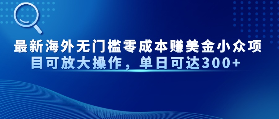最新海外无门槛美金小众项目可放大操作，单日可达300+|琦哥资源