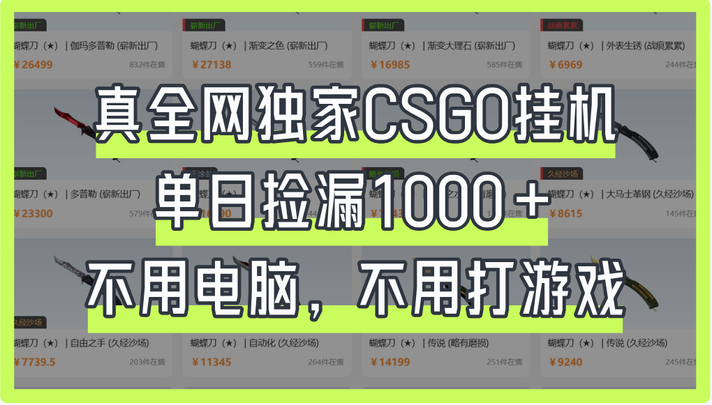 真全网独家CSGO挂机，单日捡漏1000+|琦哥资源