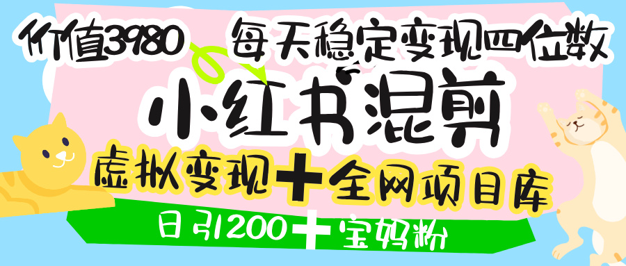 价值3980的小红书混剪， 虚拟变现 ＋全网项目库 ， 日引200+宝妈创业粉，每天稳定四位数变现|琦哥资源