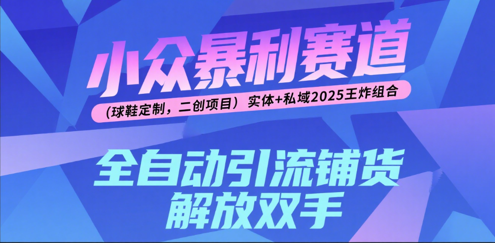 楠—小众暴利赛道（球鞋定制，二创项目）实体+私域2025王炸组合|琦哥资源