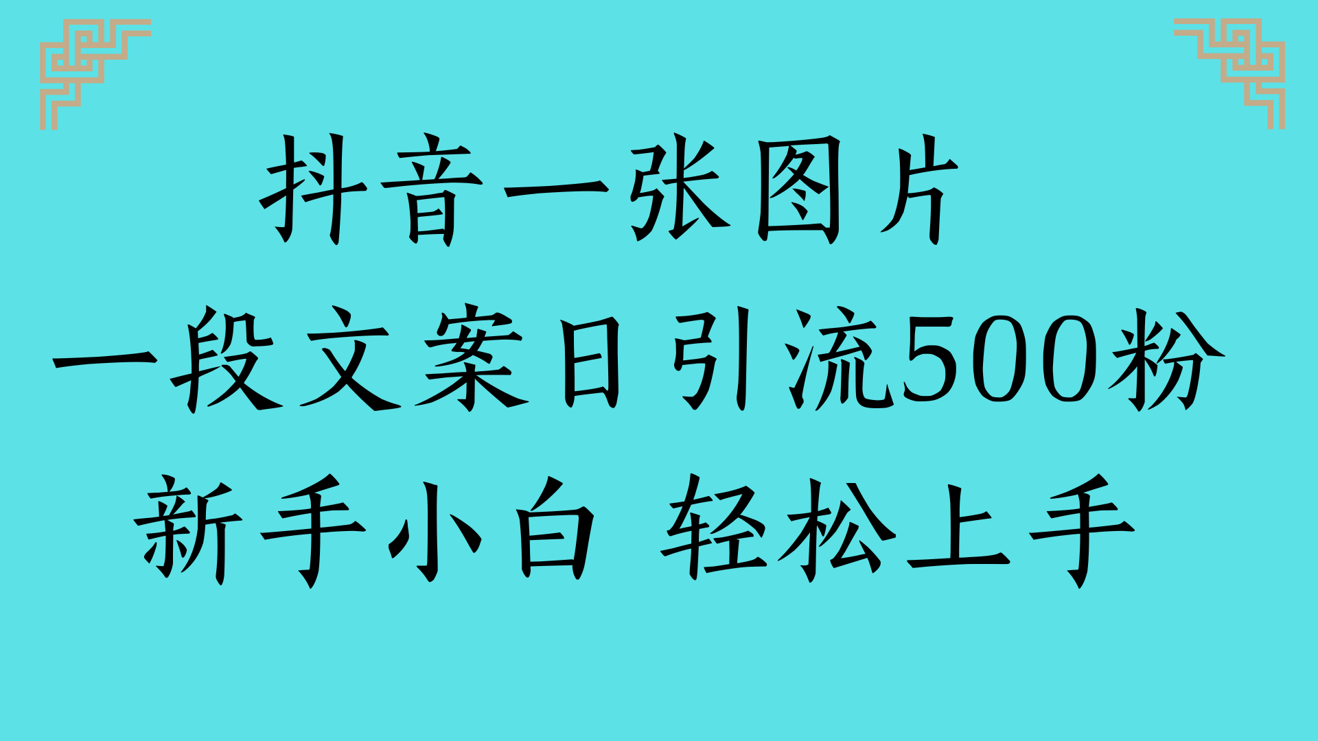 抖音一张图片 一段文案日引流500粉新手小白 轻松上手|琦哥资源
