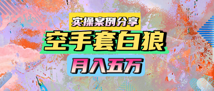 空手套白狼，月入五万，实操案例分享|琦哥资源