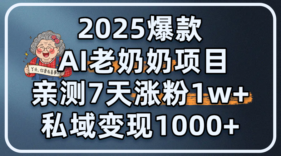 2025爆款 AI 老奶奶项目：亲测 7 天涨粉 1W+，私域变现 1000+|琦哥资源