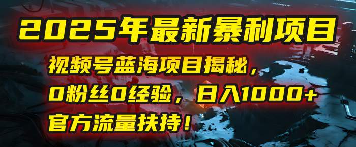 2025年最新暴利项目：视频号蓝海项目揭秘，0粉丝0经验，日入1000+，官方流量扶持！|琦哥资源