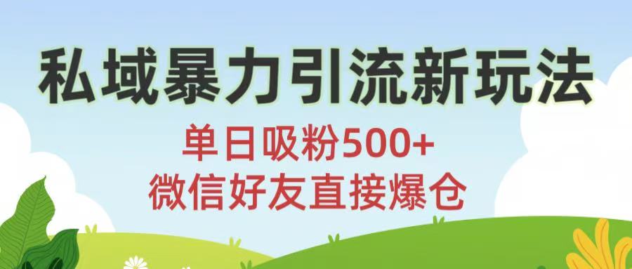 私域暴力引流新玩法!单日吸粉500+，微信好友直接爆仓|琦哥资源