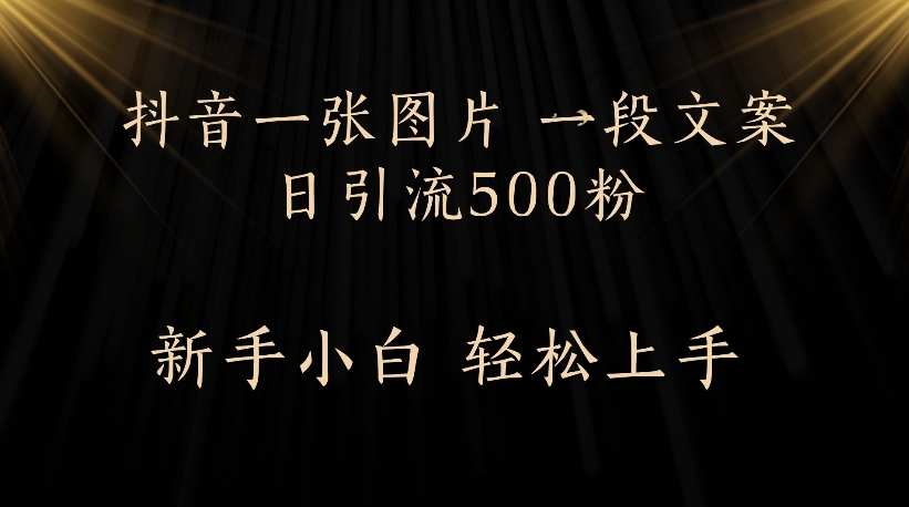 抖音一张图片，一段文案日引流500粉，新手小白 轻松上手|琦哥资源