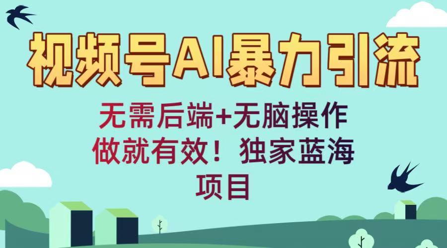 视频号AI暴力引流：无需后端+无脑操作，做就有效！独家蓝海项目|琦哥资源