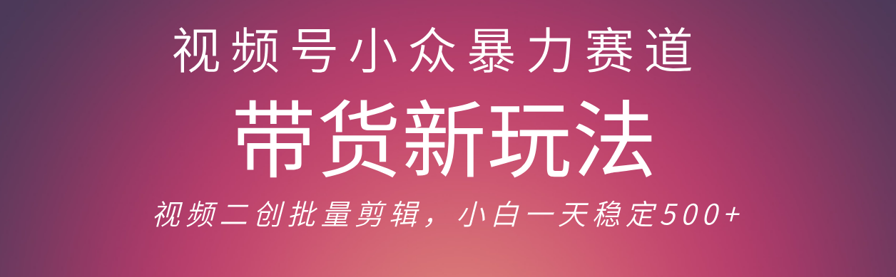 视频号小众暴力赛道，最新带货玩法 小白也能轻松日入500+ 保姆及教程|琦哥资源