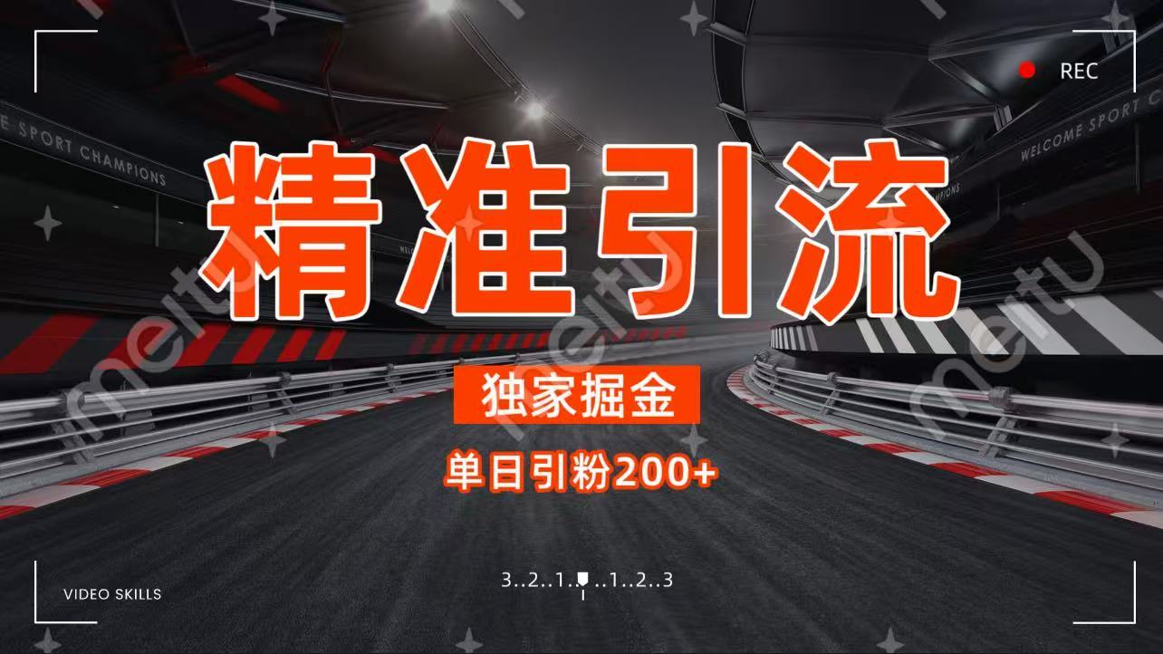 独家野路子精准引流 每日200+|琦哥资源