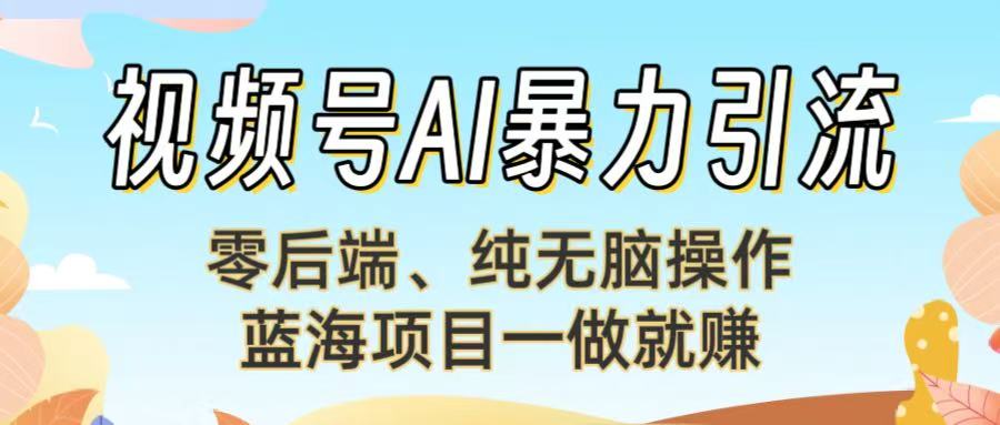视频号AI暴力引流：零后端、纯无脑操作，蓝海项目一做就赚！【下面那个链接失效了】|琦哥资源