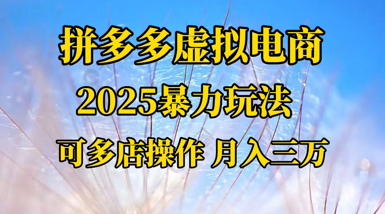拼多多虚拟电商，不囤货不垫资的虚拟电商|琦哥资源