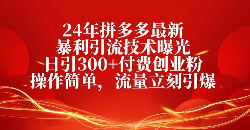 25年拼多多最新暴利引流技术曝光、日引300+付费创业粉操作简单，流量立刻引爆|琦哥资源