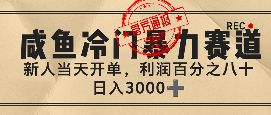闲鱼，冷门暴力赛道，一单 80%利润，新人轻松日入 3000+|琦哥资源
