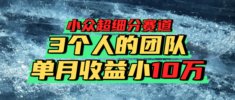 小众超细分赛道，一年百万利润的盘子！|琦哥资源