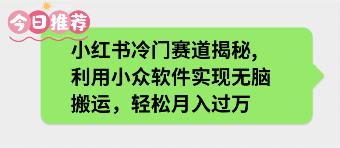 小红书冷门赛道揭秘,利用小众软件实现无脑搬运，轻松月入过万|琦哥资源