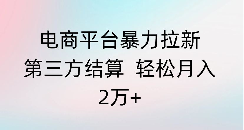 电商平台暴力拉新第三方结算 轻松月入2万+|琦哥资源